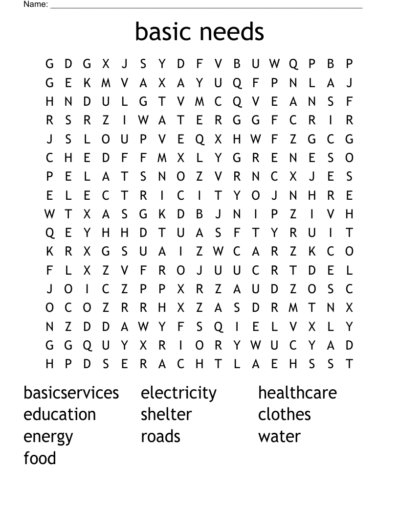basic needs  Word Search