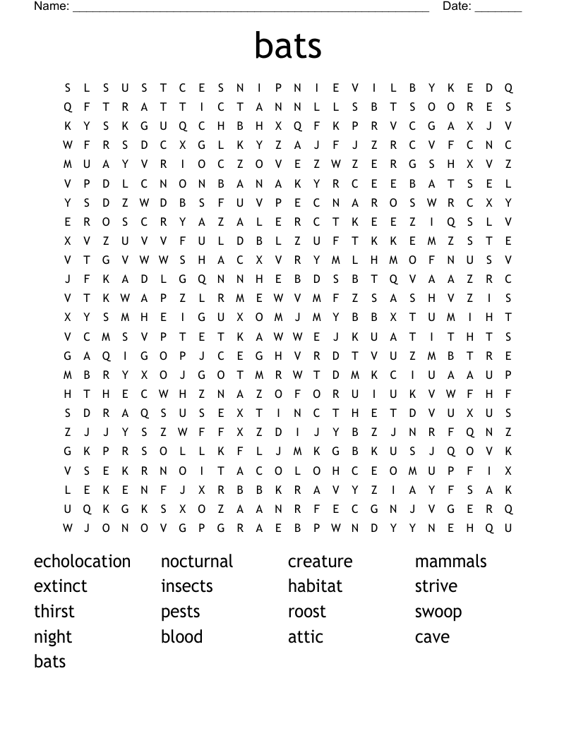 bats Word Search