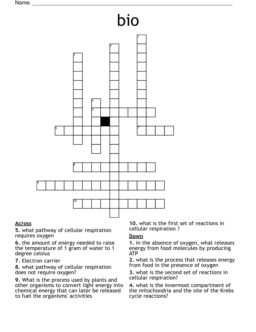 bio  Crossword