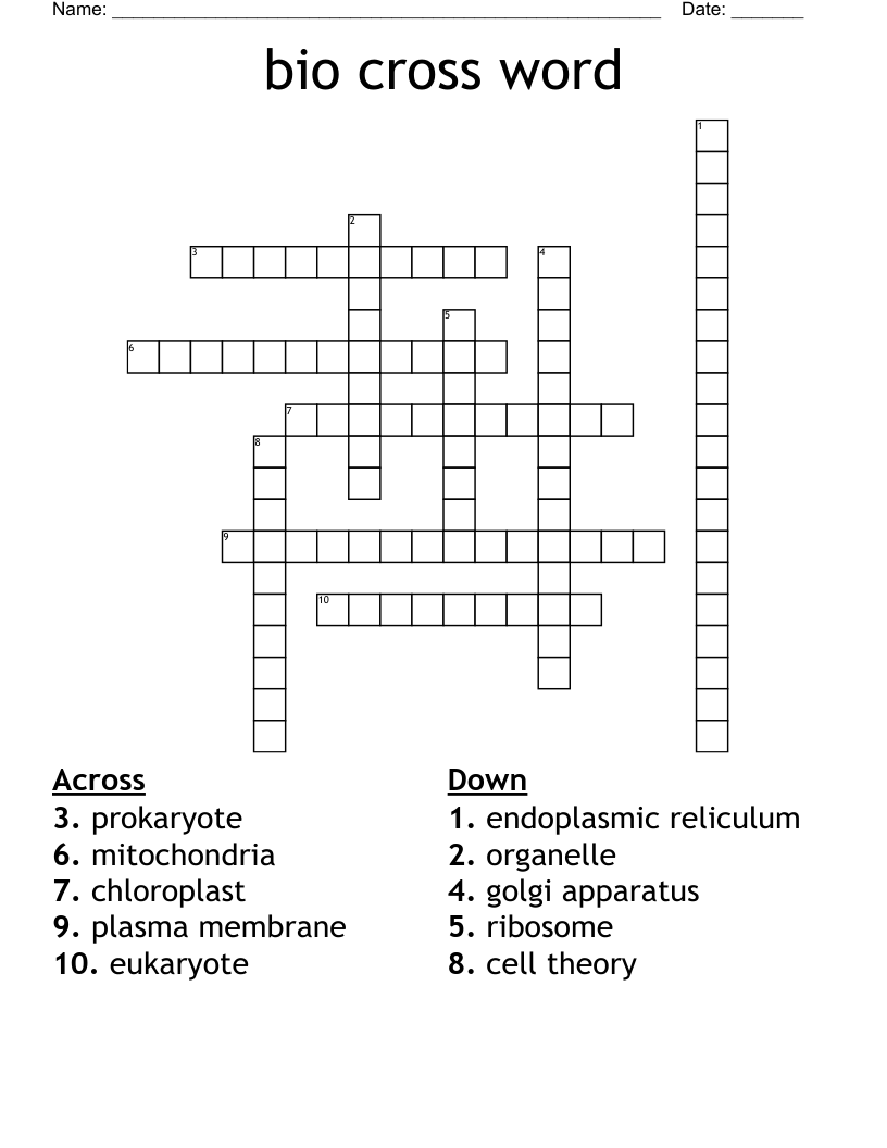 bio cross word