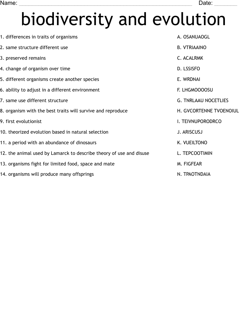 biodiversity and evolution Worksheet