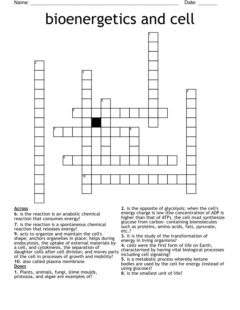 bioenergetics and cell Crossword