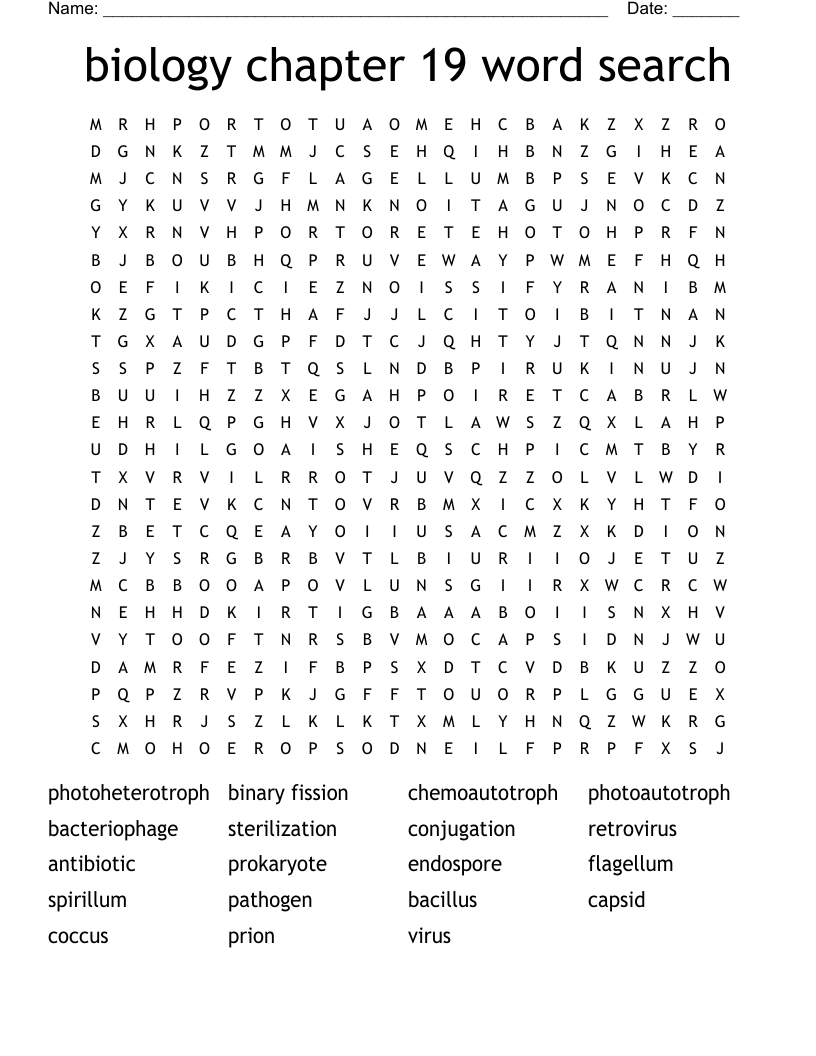 biology chapter 19 word search
