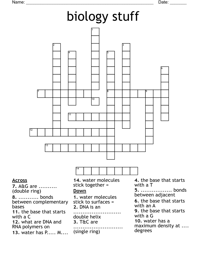 biology stuff Crossword
