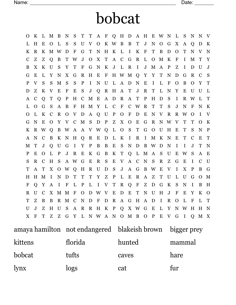 bobcat Word Search