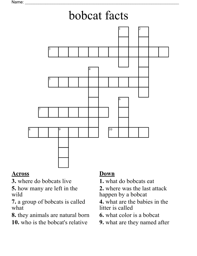 bobcat facts  Crossword
