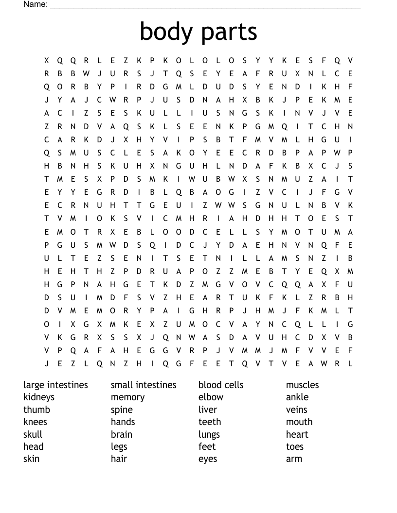 body parts  Word Search