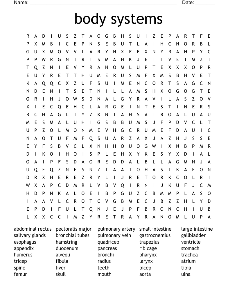 body systems Word Search