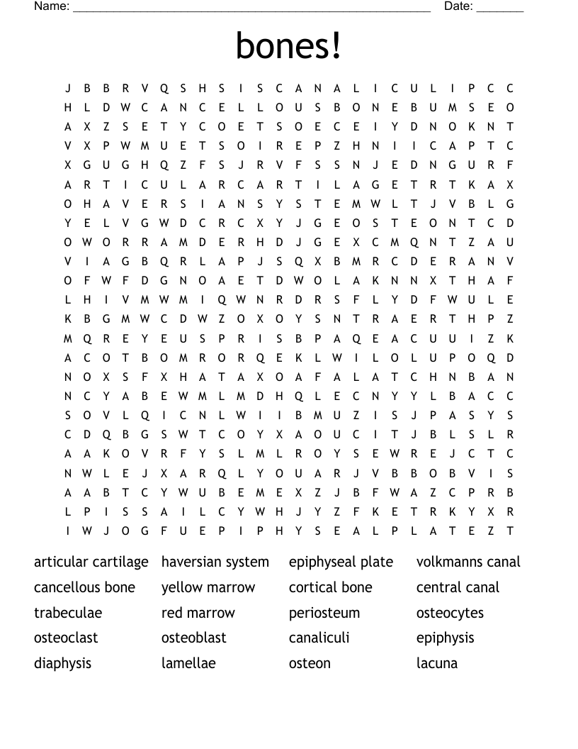 bones!  Word Search