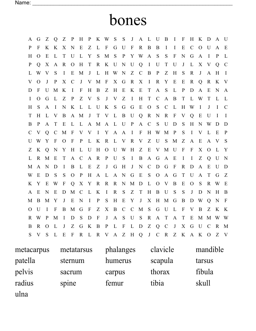 bones  Word Search