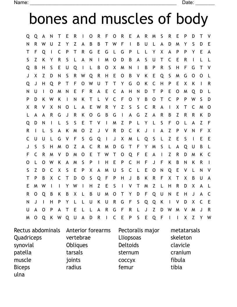 bones and muscles of body Word Search