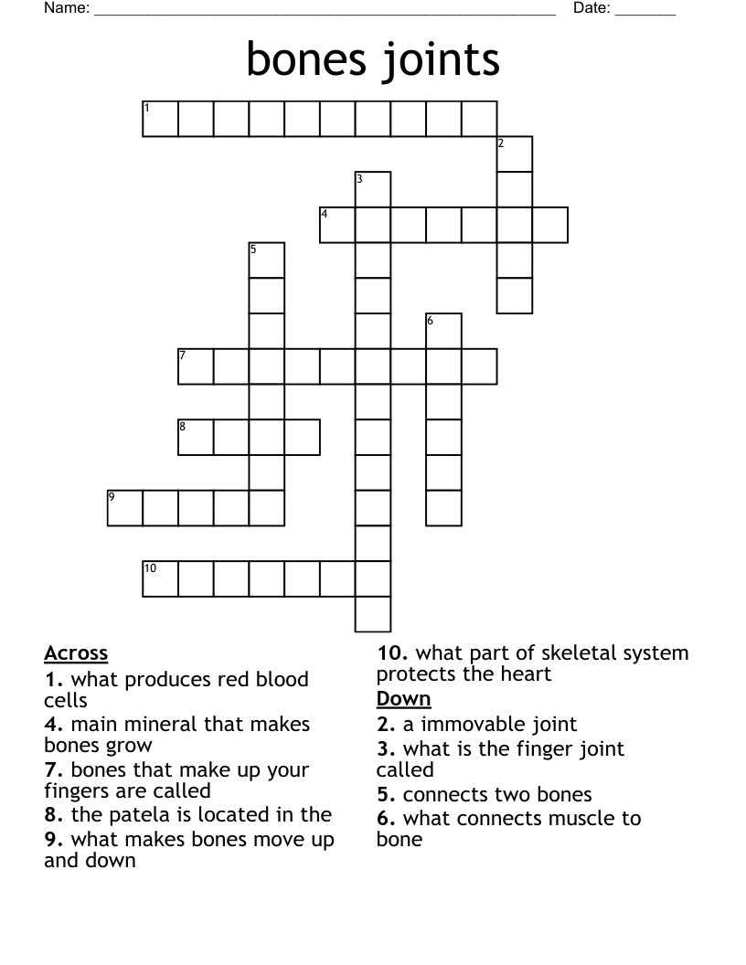 bones joints Crossword