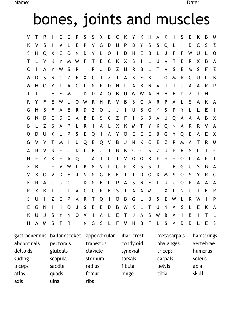 bones, joints and muscles Word Search