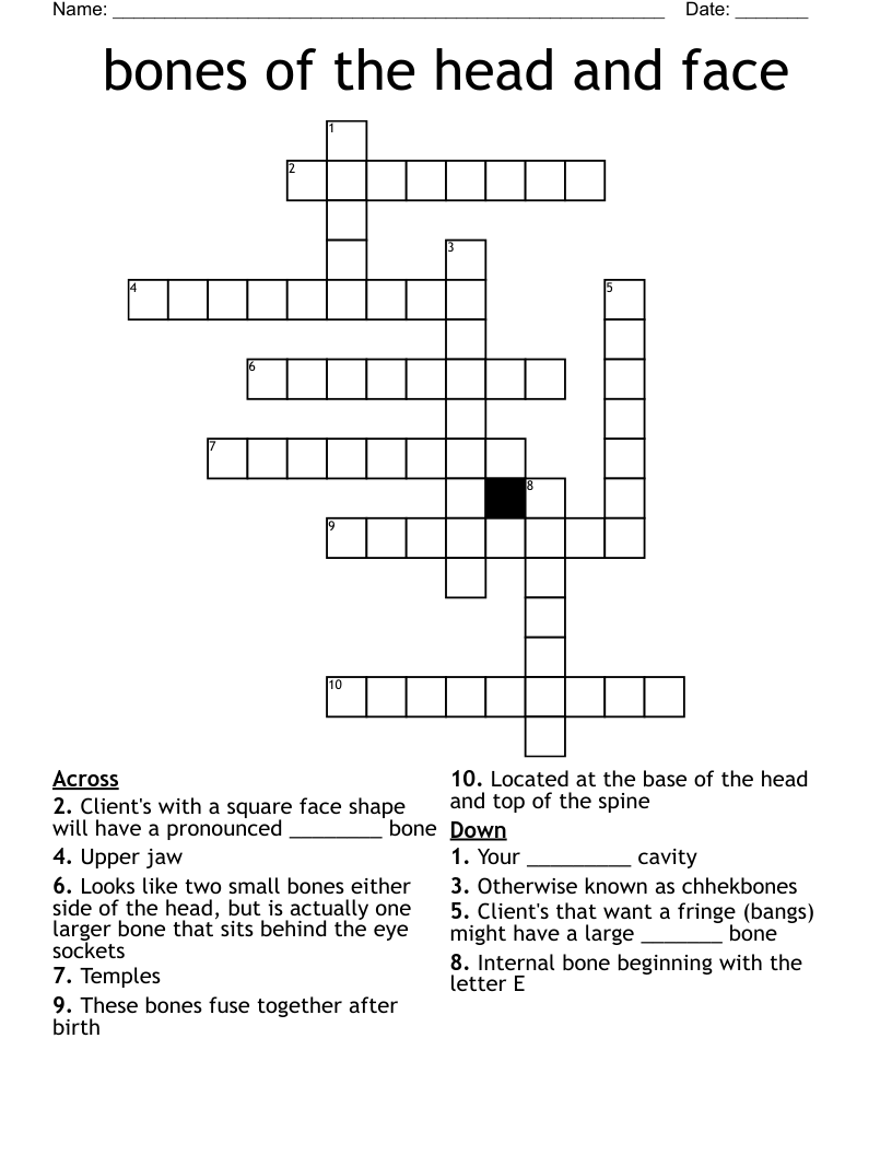 bones of  the head and face Crossword