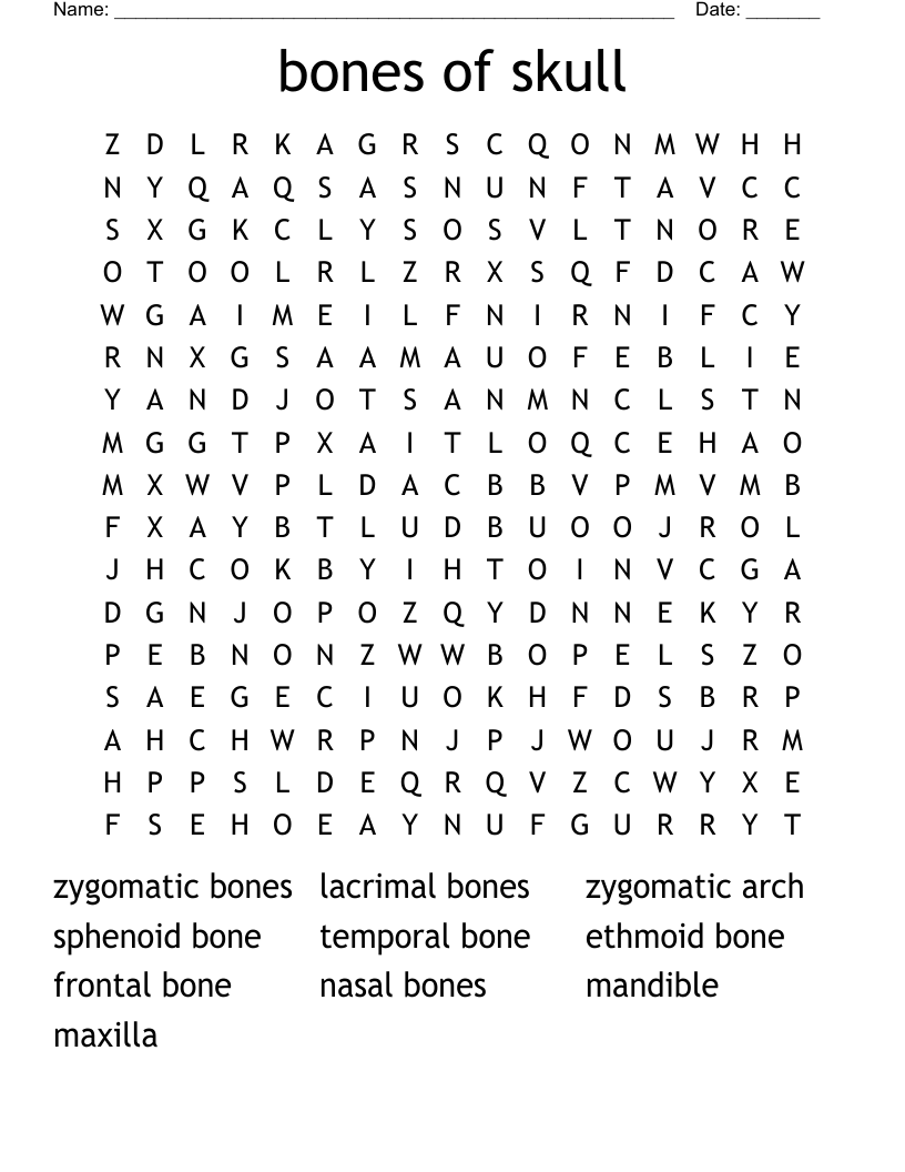 bones of skull Word Search