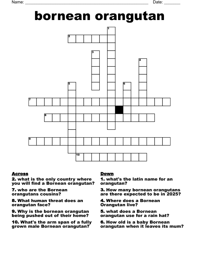 bornean orangutan Crossword