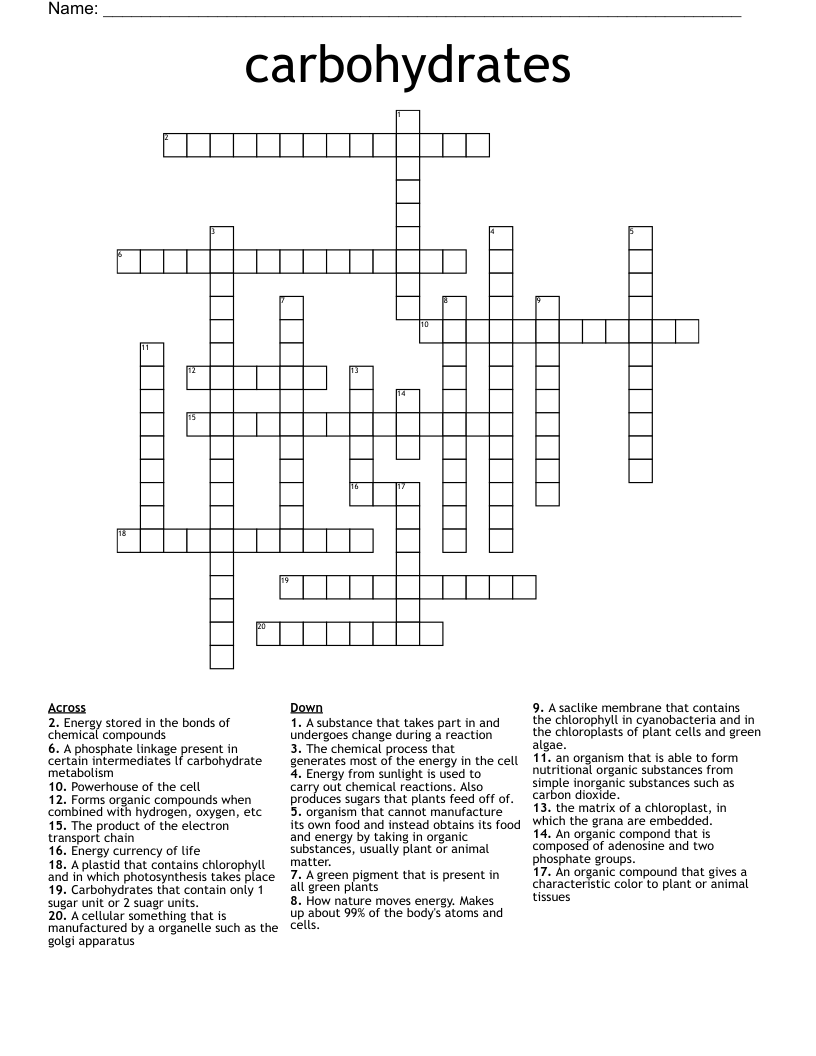 carbohydrates Crossword