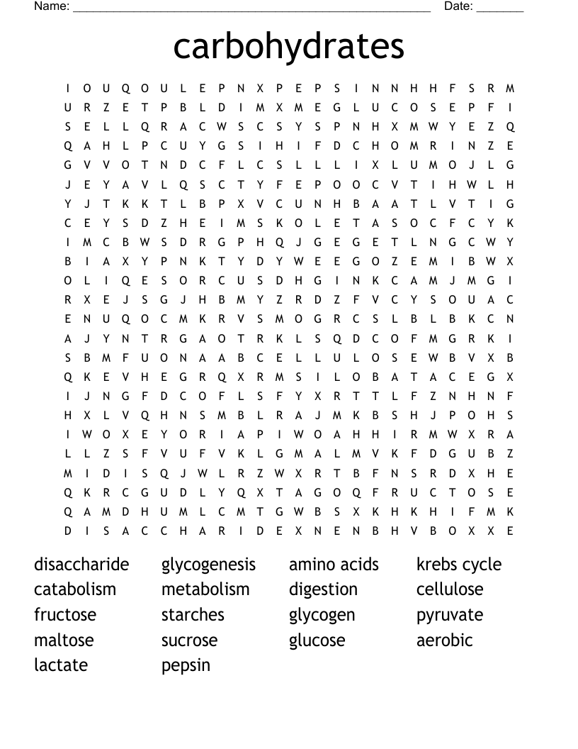 carbohydrates Word Search