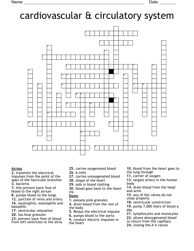 cardiovascular & circulatory system Crossword