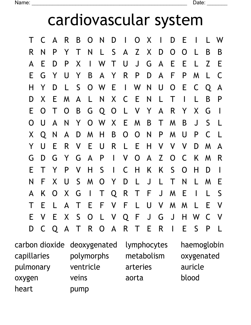 cardiovascular system Word Search