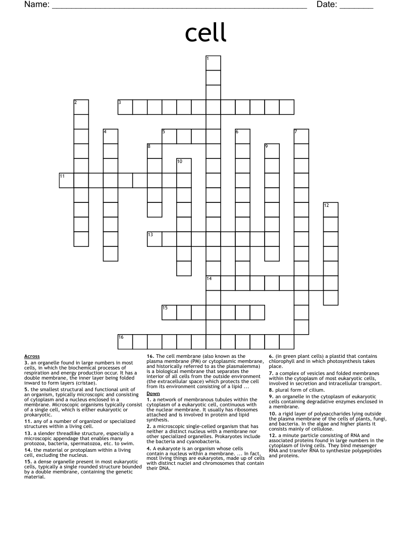 cell Crossword