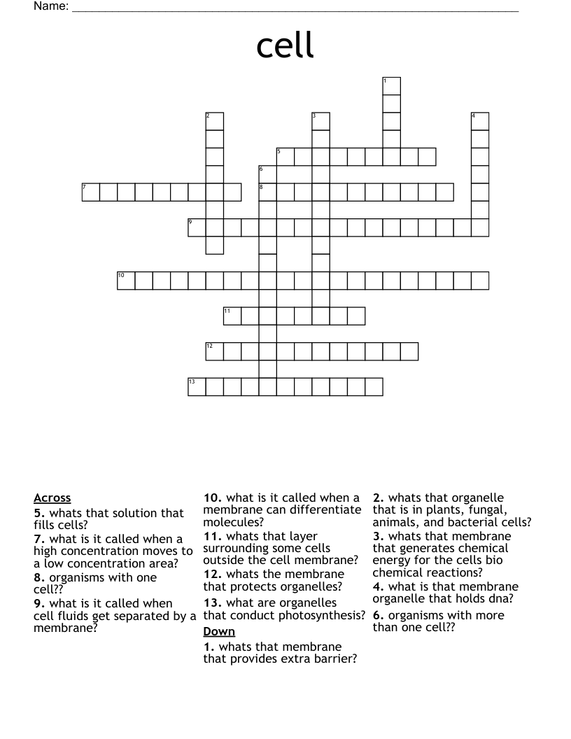 cell  Crossword