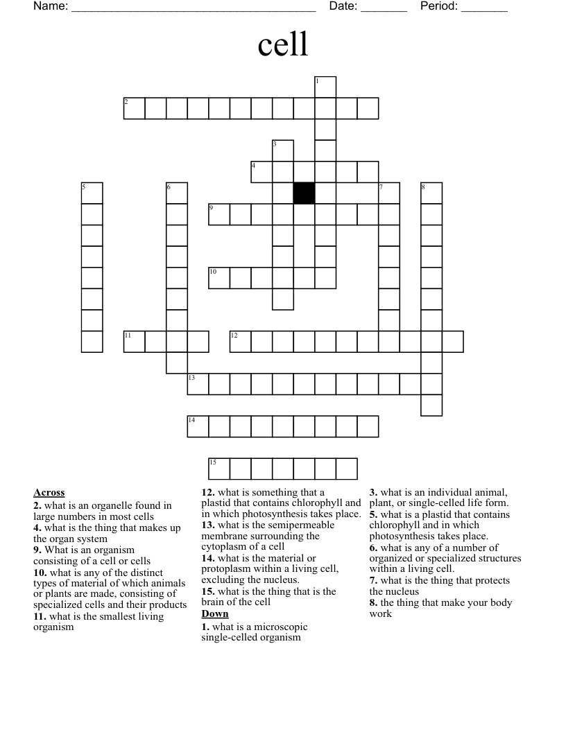cell  Crossword