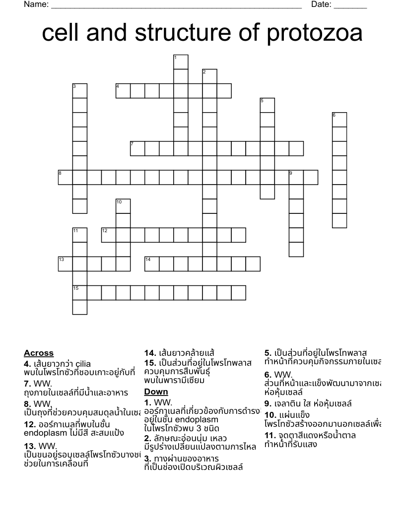 cell and structure of protozoa Crossword