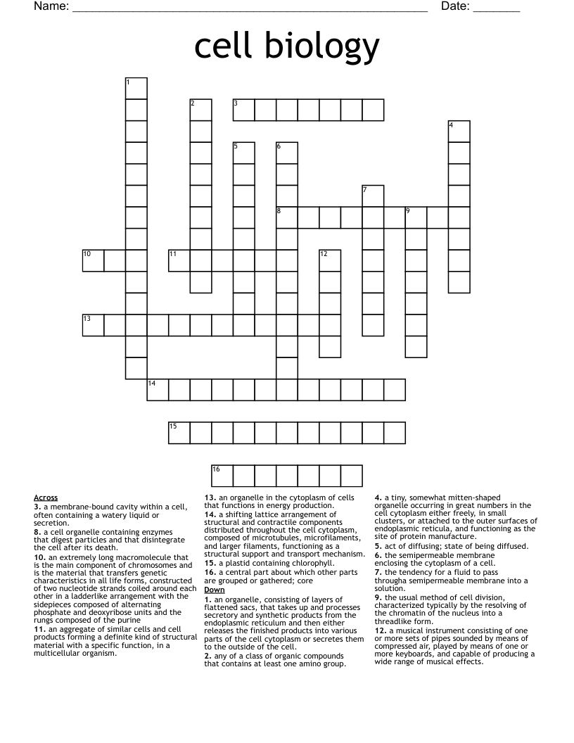 cell biology Crossword