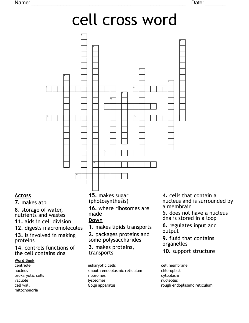 cell cross word