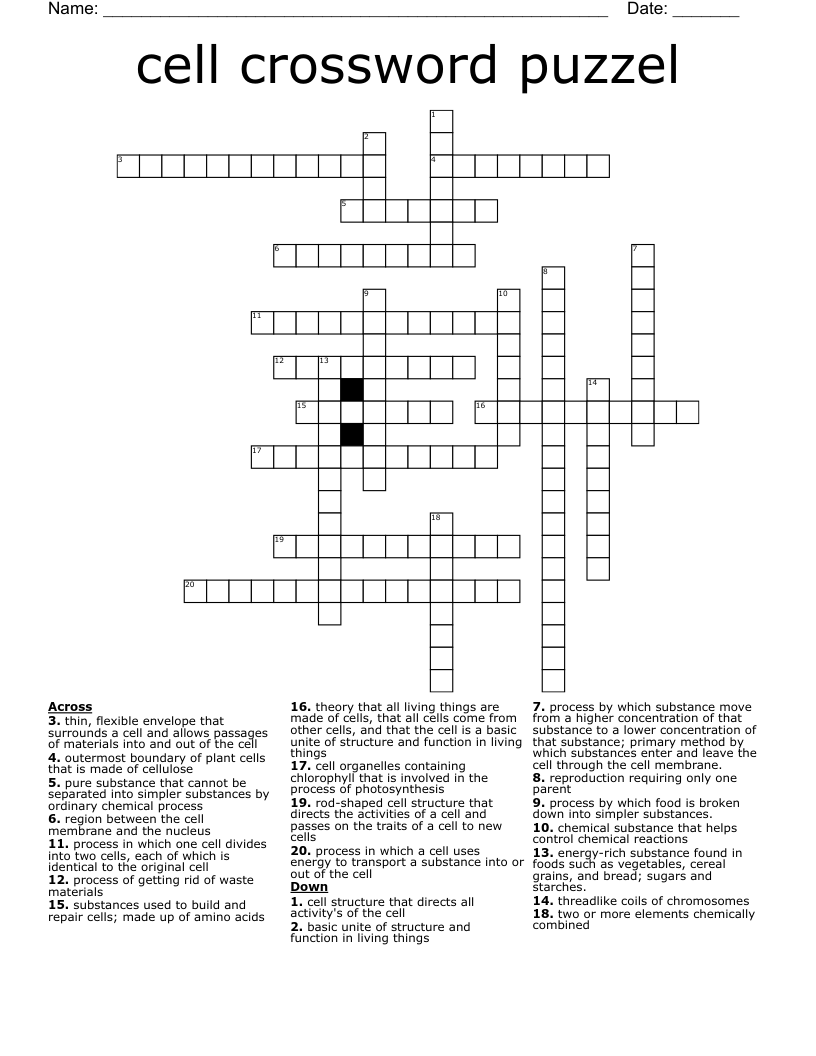 cell crossword puzzel