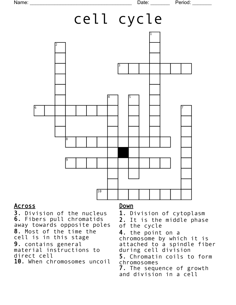 cell cycle Crossword