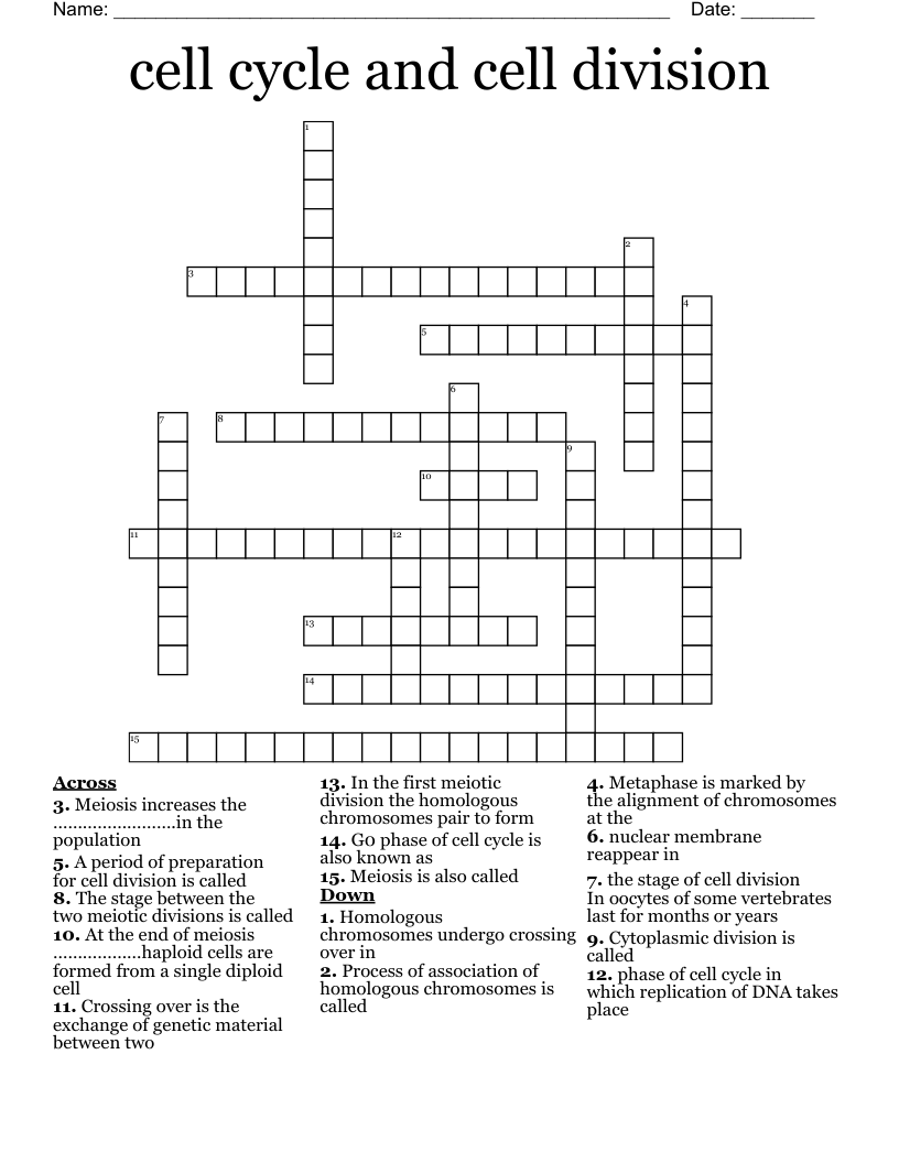 cell cycle and cell division Crossword