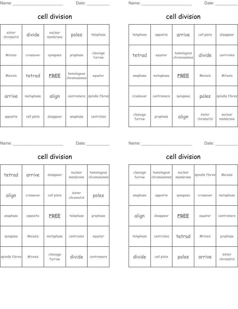 cell division Bingo Cards