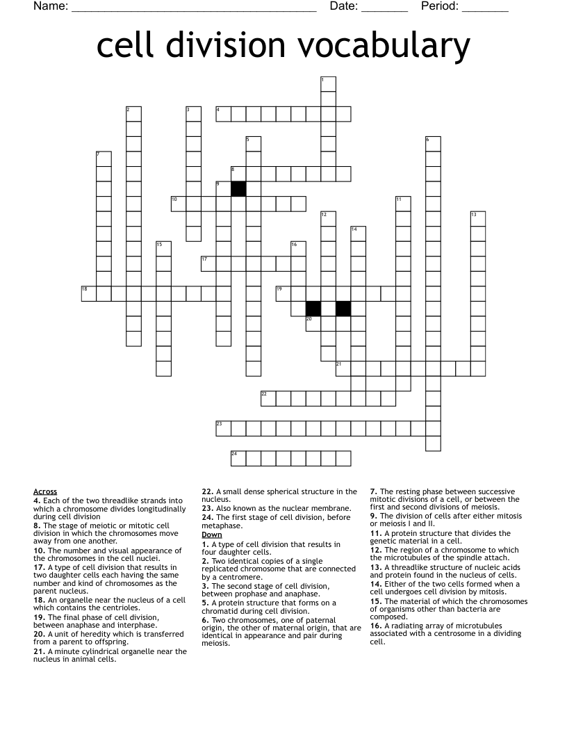 cell division vocabulary Crossword