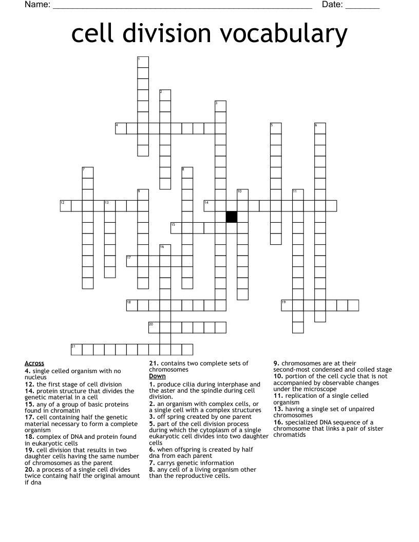 cell division vocabulary Crossword