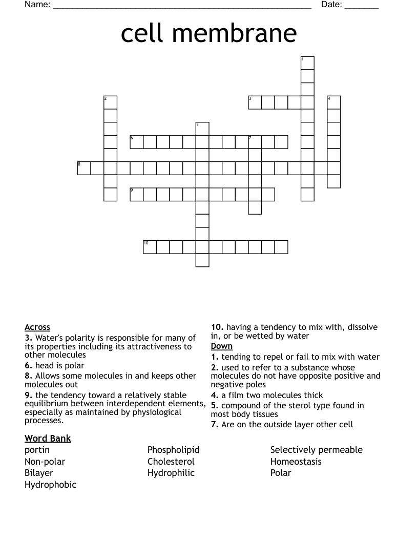 cell membrane Crossword