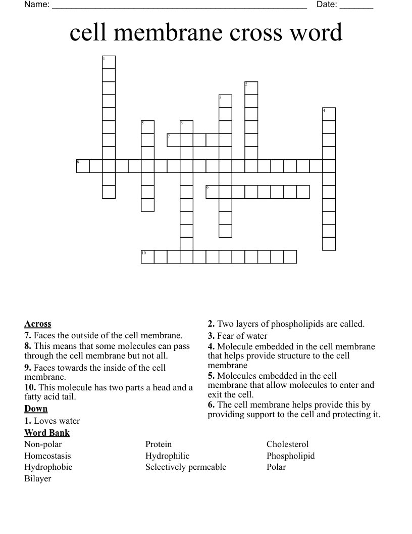cell membrane cross word