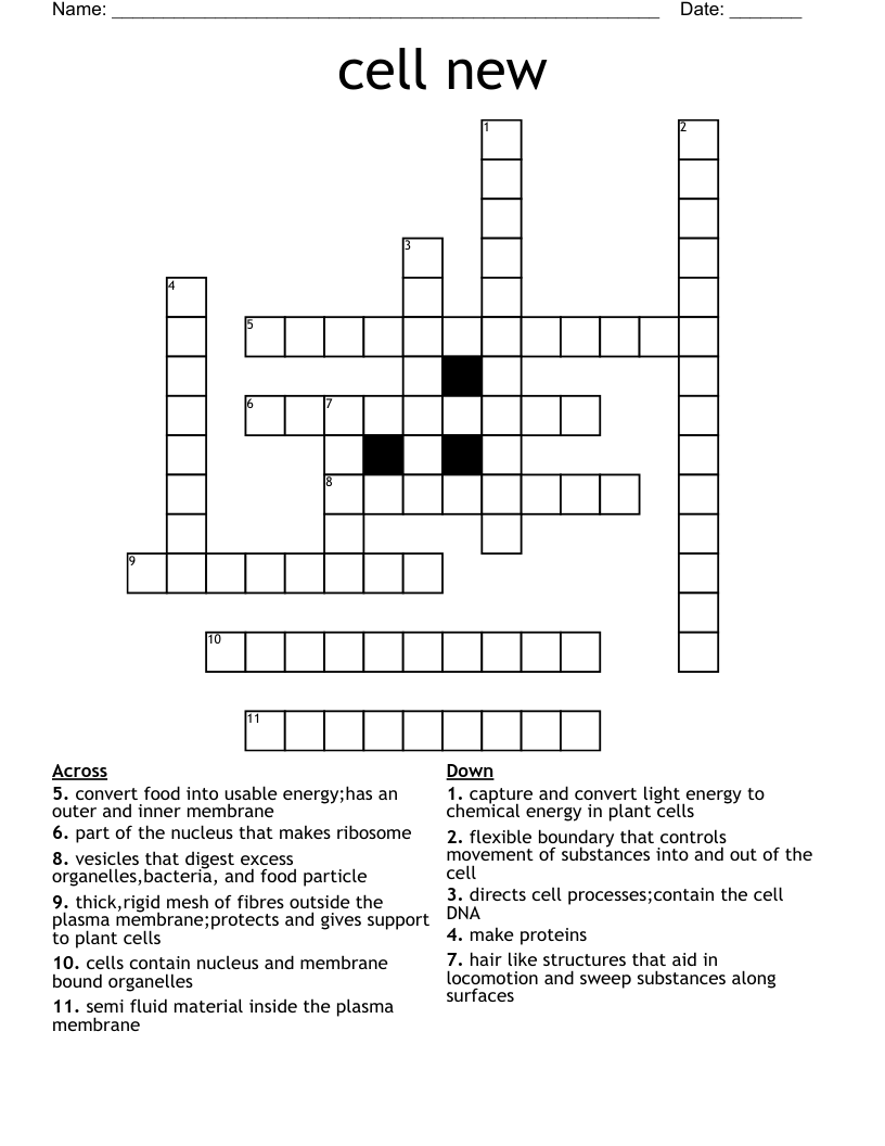 cell new Crossword