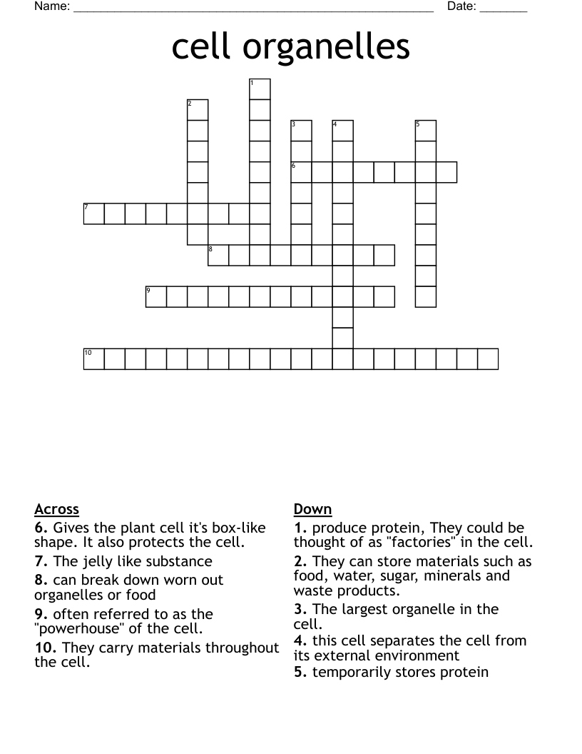 cell organelles Crossword