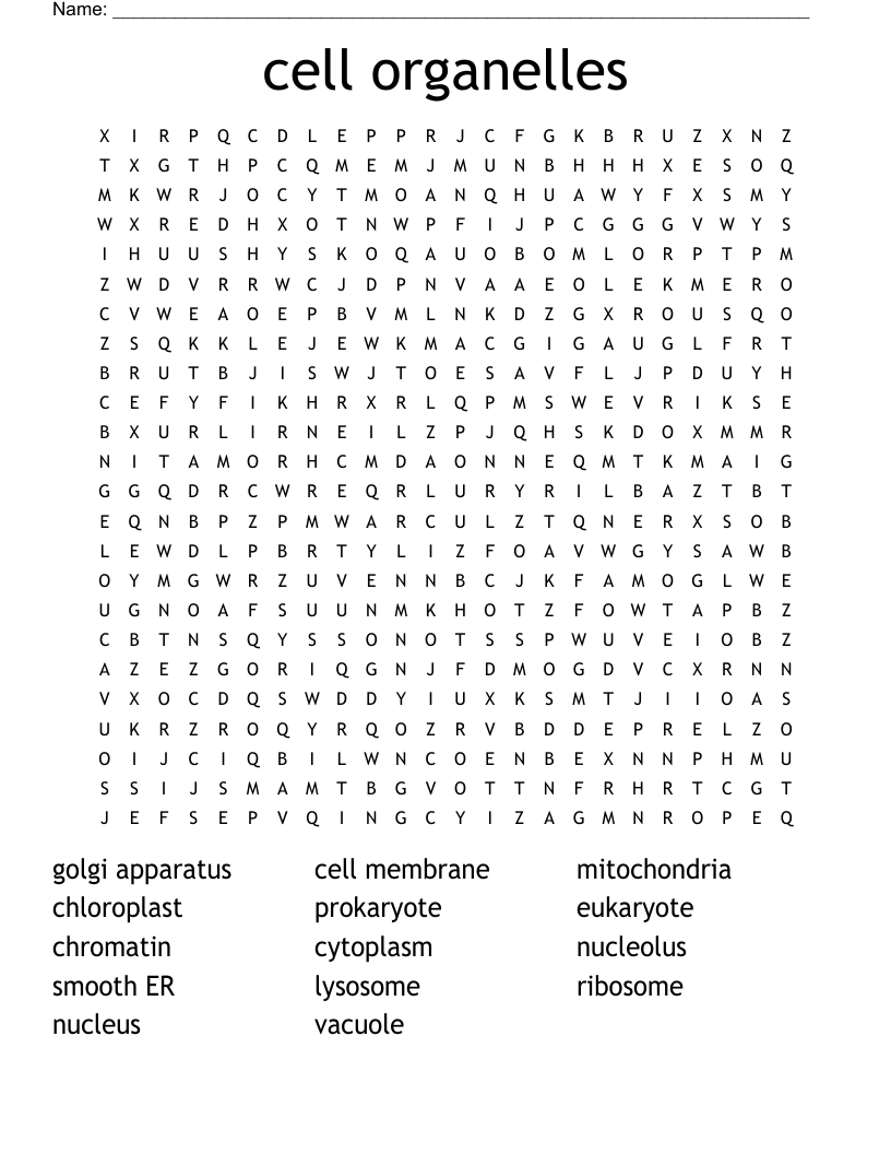 cell organelles Word Search