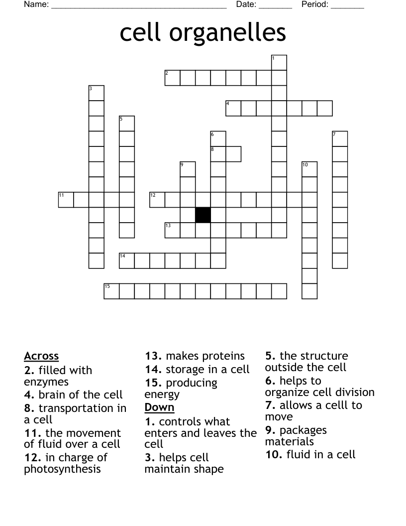 cell organelles Crossword