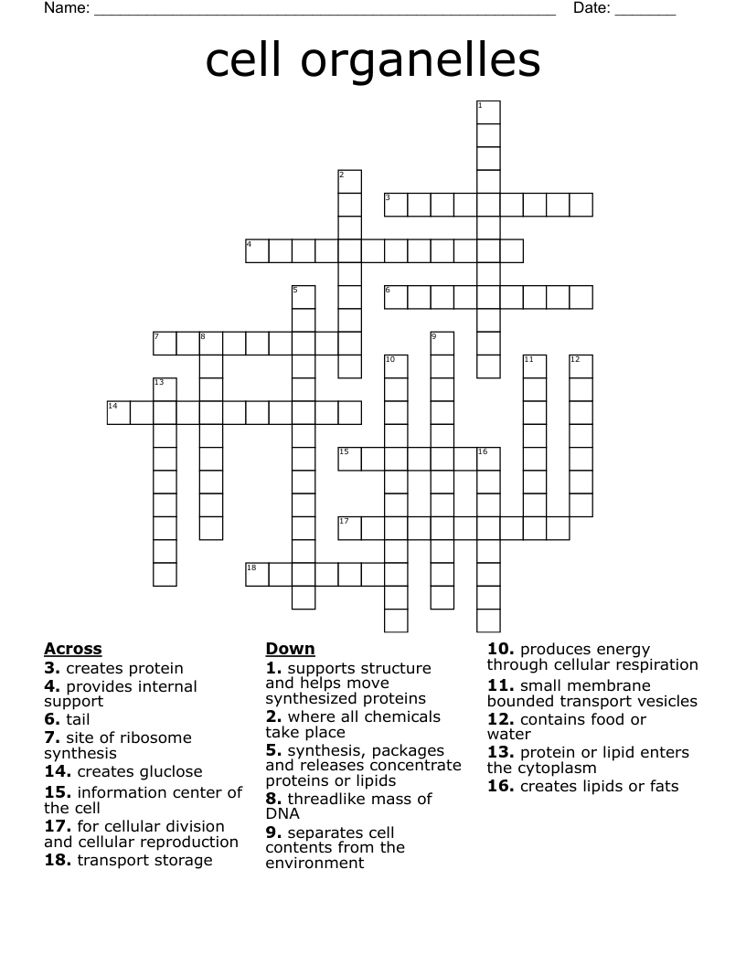 cell organelles  Crossword