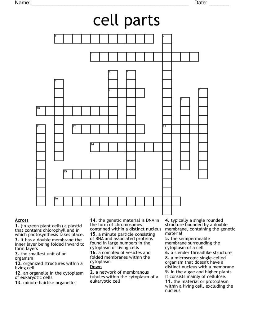 cell parts Crossword