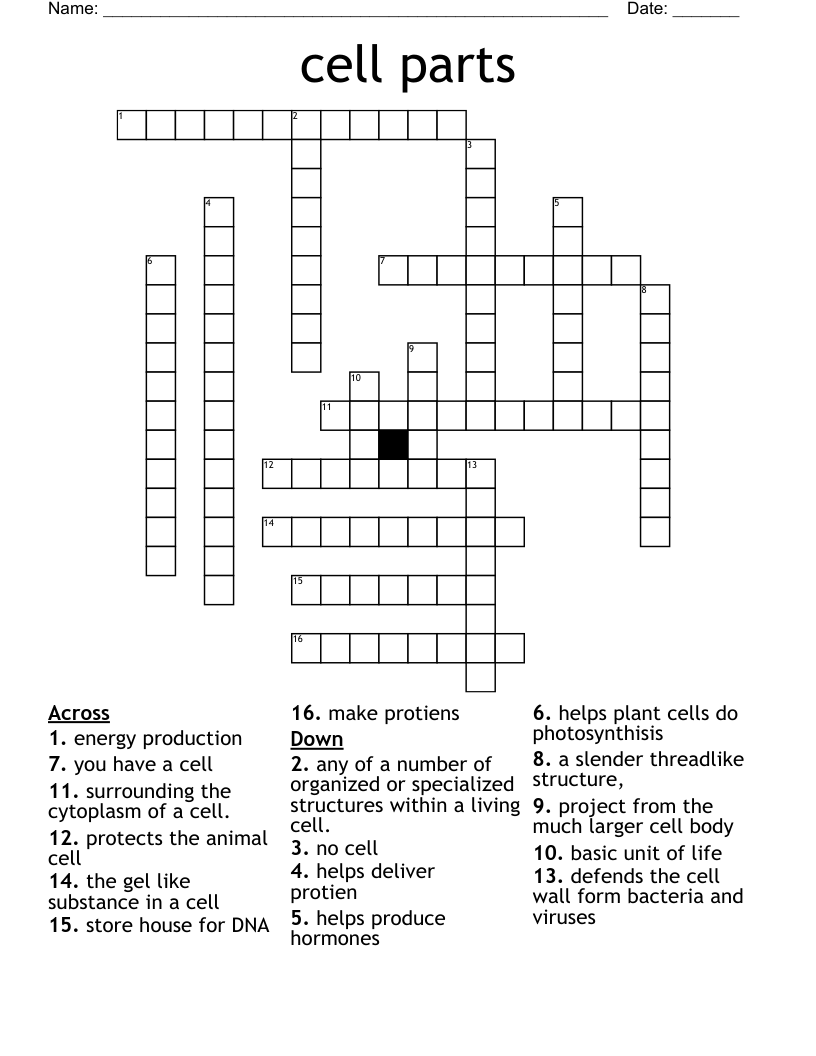 cell parts Crossword