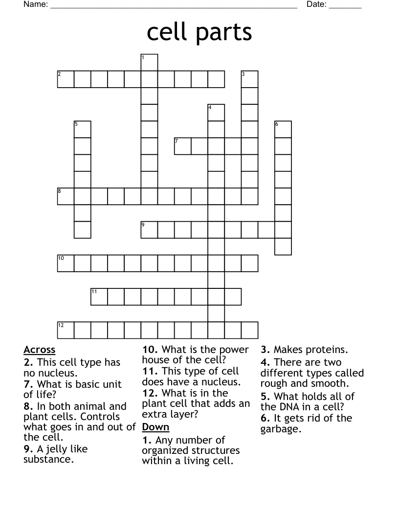 cell parts Crossword