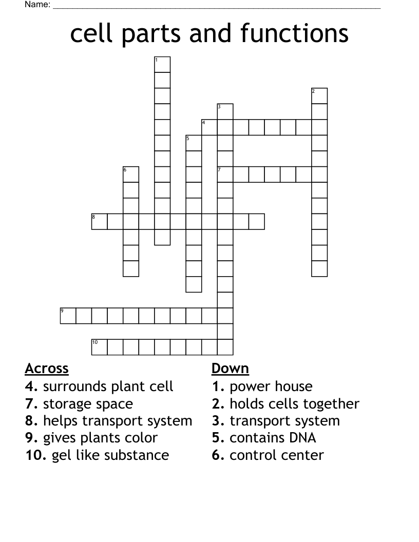cell parts and functions Crossword