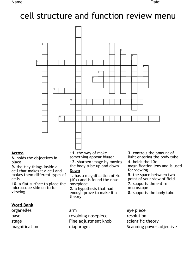 cell structure and function review menu Crossword
