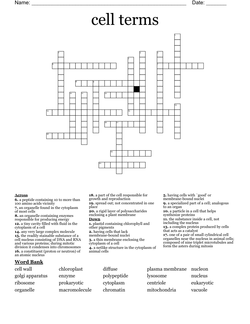 cell terms Crossword