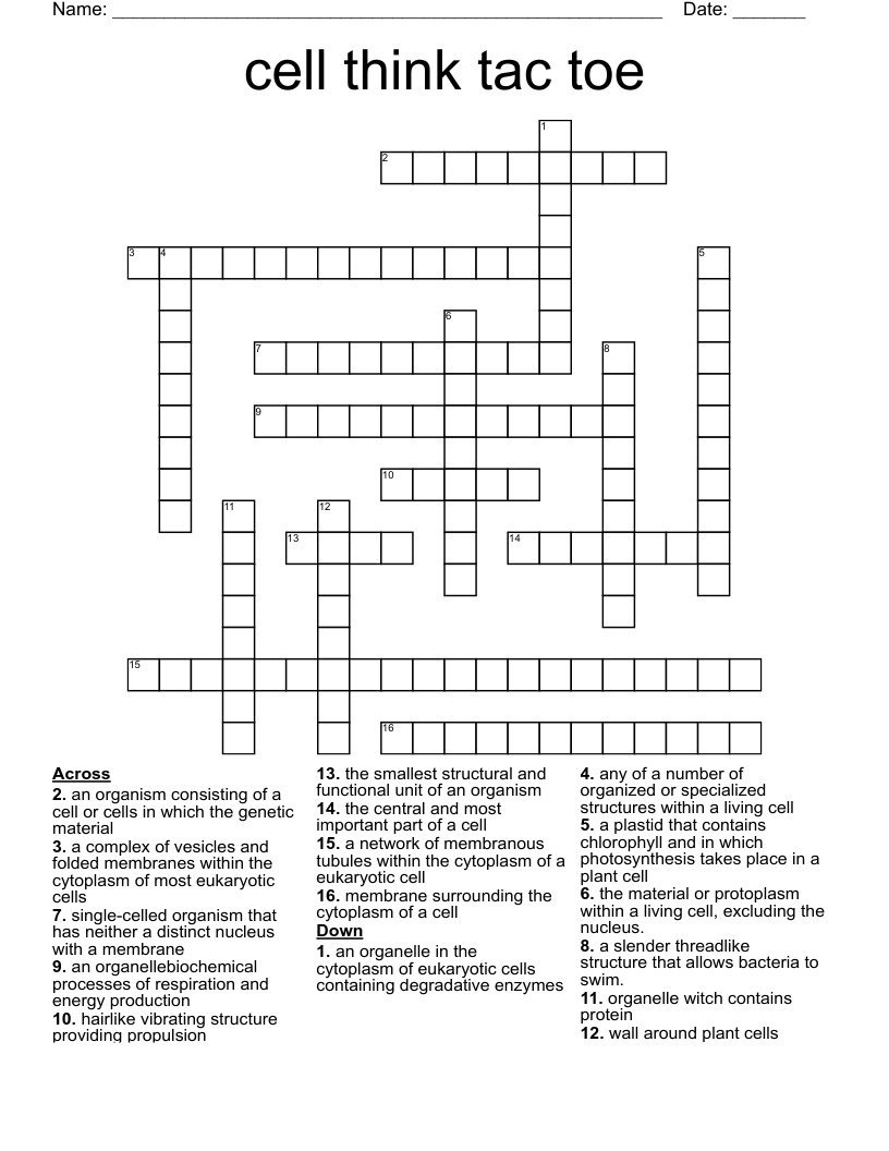 cell think tac toe Crossword